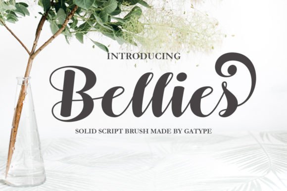 Bellies: A Sweet Script for Modern Creative Projects