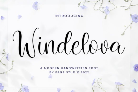 Windelova: Where Modern Elegance Meets Digital Craft